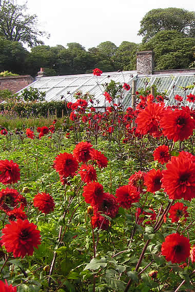 The Lost Gardens of Heligan