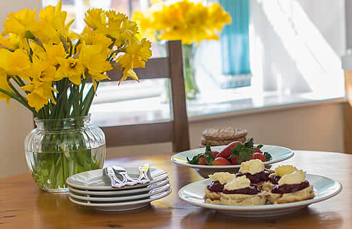 A delicious Cornish cream tea on arrival to start your holiday at Great Bodieve Farm Barns