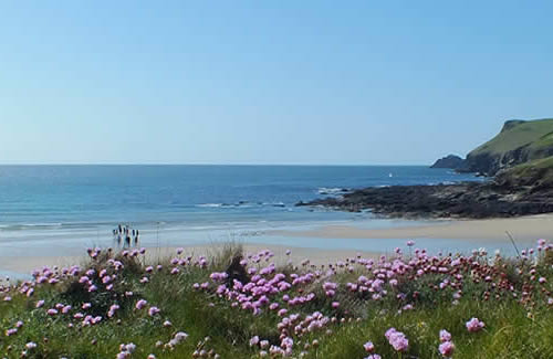 The popular family and surfing beach at Polzeath is a short drive away